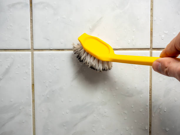 Best Mold Damage Repair  in Shorewood, MN