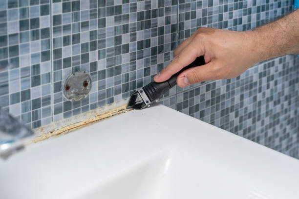 Certified Mold Removal in Shorewood, MN